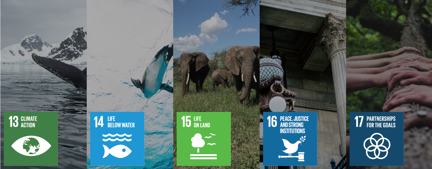 Question:To develop the ability to use theory to inform practice, develop