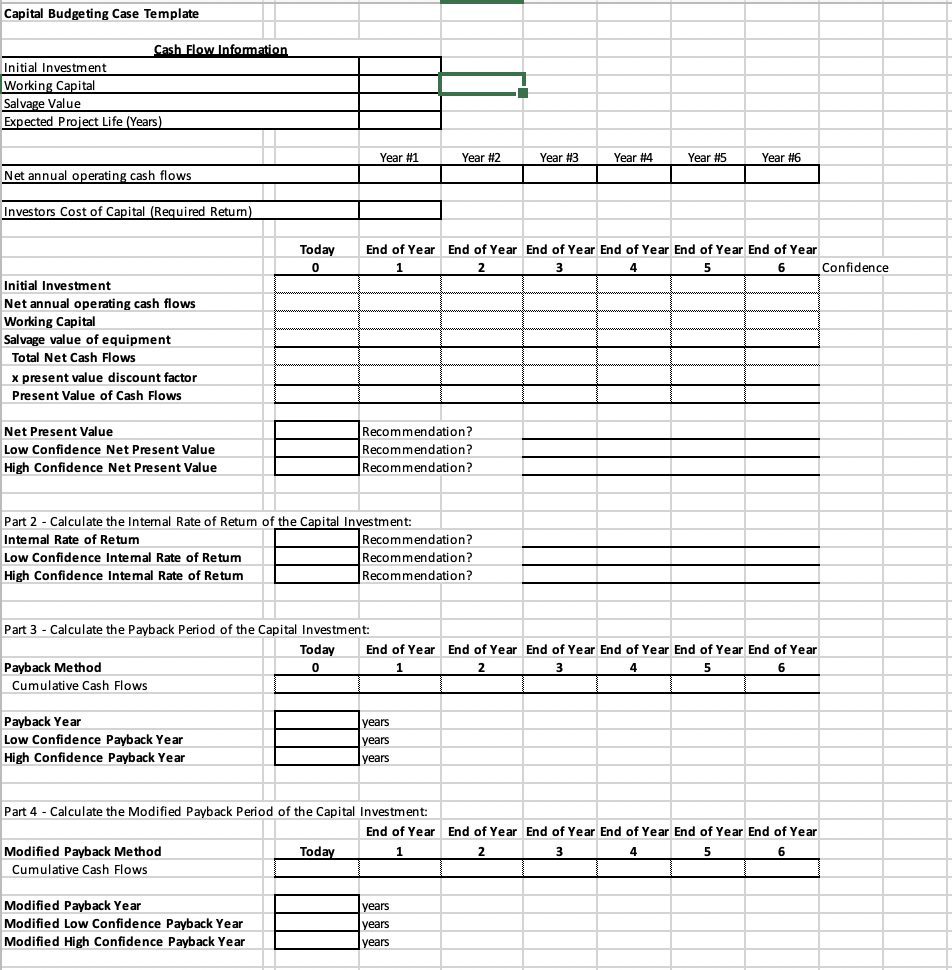 Using the template provided, analyze the project with Net Present Value, Internal