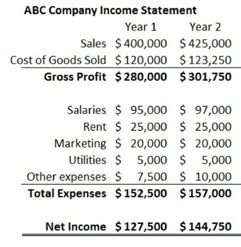prepare a sample 2-year project income statement with all possible expenses and