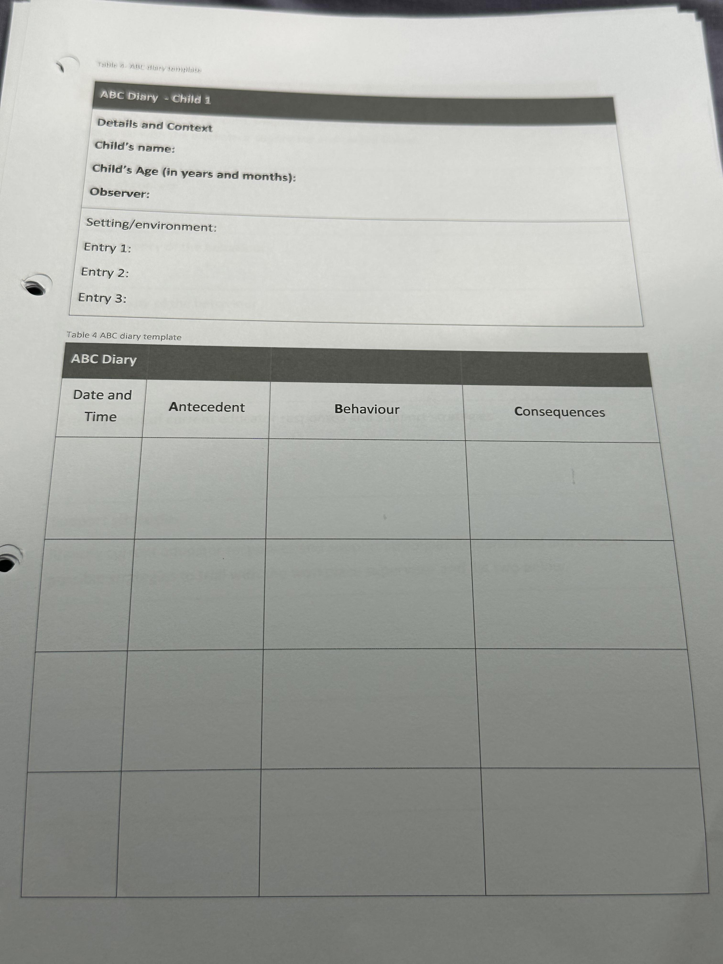 educator responses and support strategies used and discuss possible strategies to trial