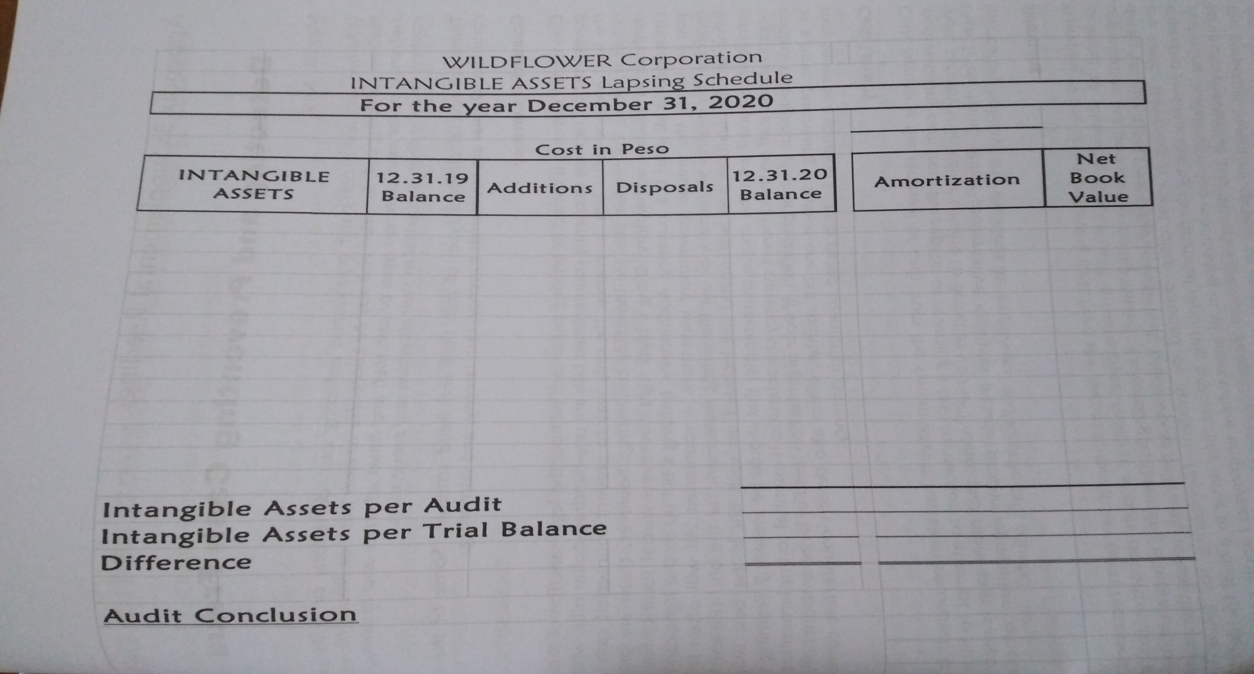 first year's operations were not examined by a CPA. You have been