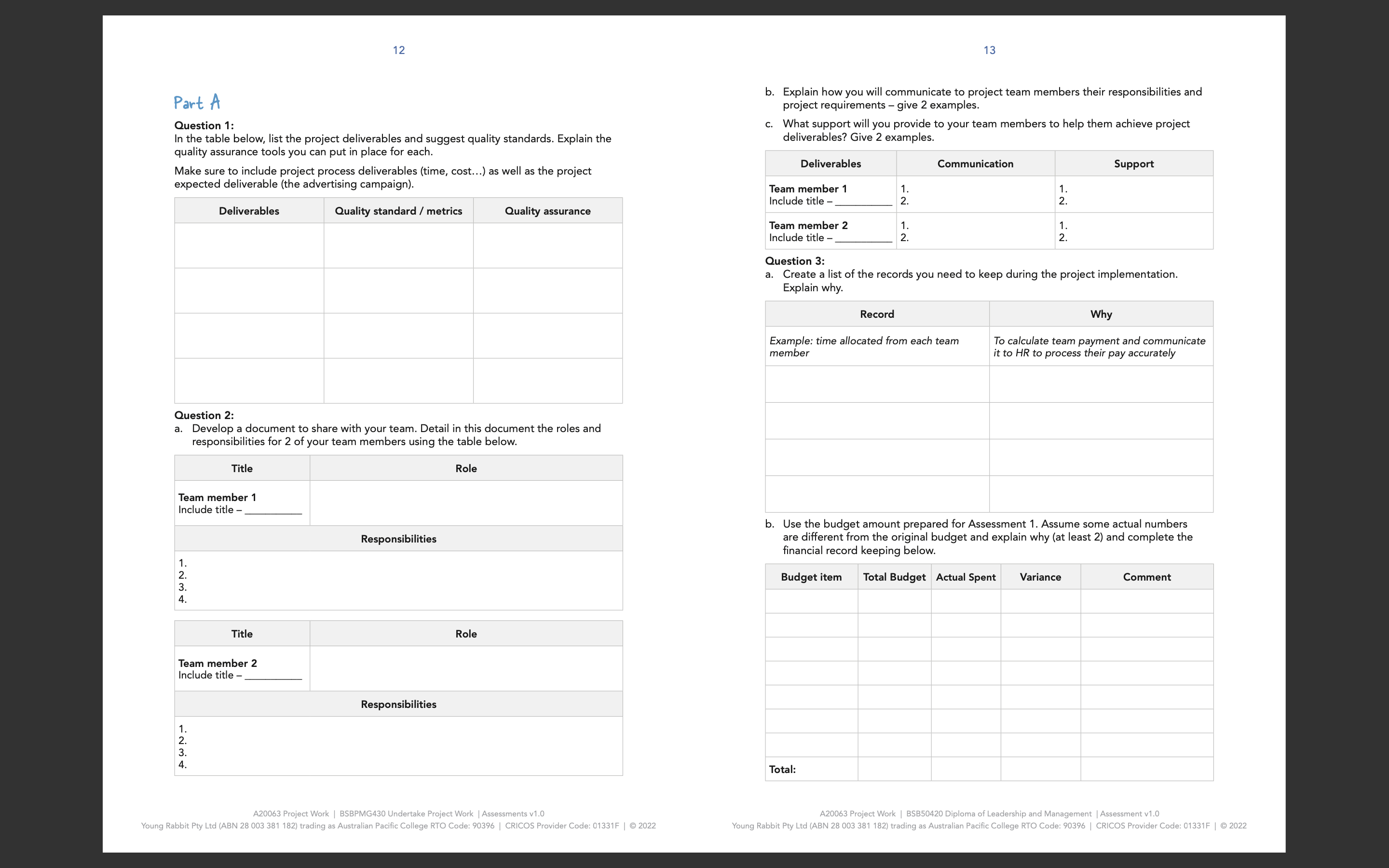 put in place ror each. Make sure to include project process deliverables