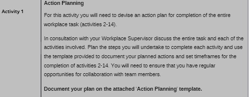 devise an action plan for completion of the entire workplace task (activities
