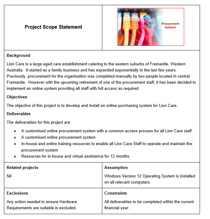 of twelve team members, including business analysts, programmers, trainers, data entry and