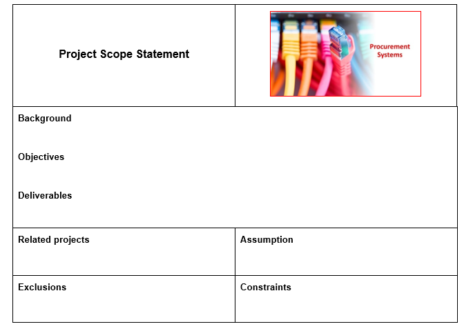 administration staff. The team structure for the project is shown here: Project