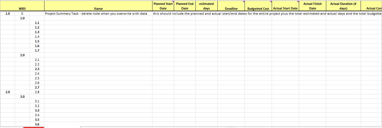 I need some help with a Project WBS & Risk Mitigation