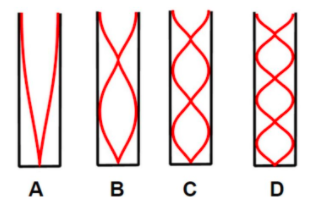 pattern of the 1st harmonic in an air column closed at one