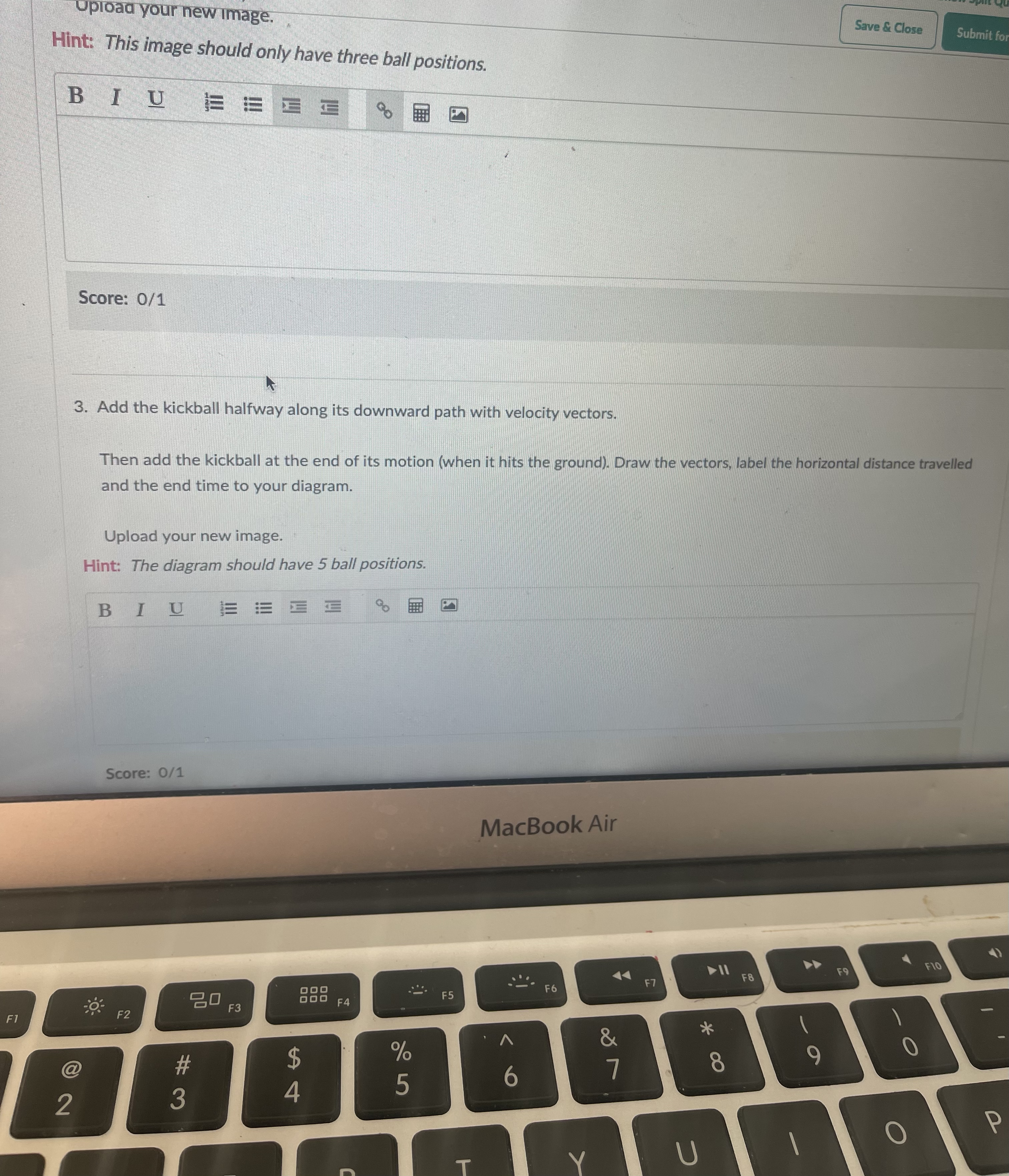 this point so just estimate). Upload your image. Hint: There should only