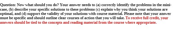 correctly identify the problems in the mini- case, (b) describe your specific