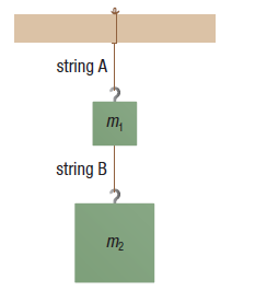 1. Two objects are hung from strings. The top object (m1) has