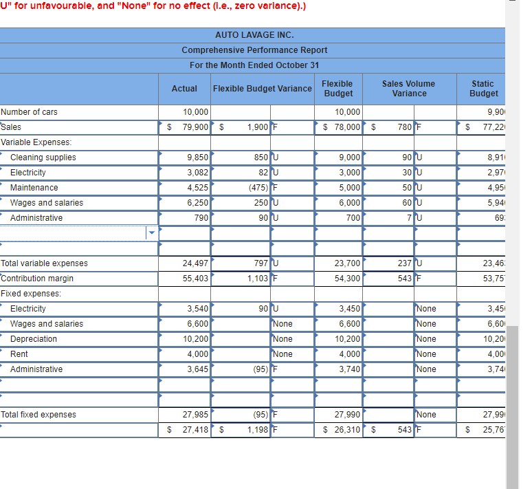 effect (I.e., zero variance).) AUTO LAVAGE INC. Comprehensive Performance Report For the