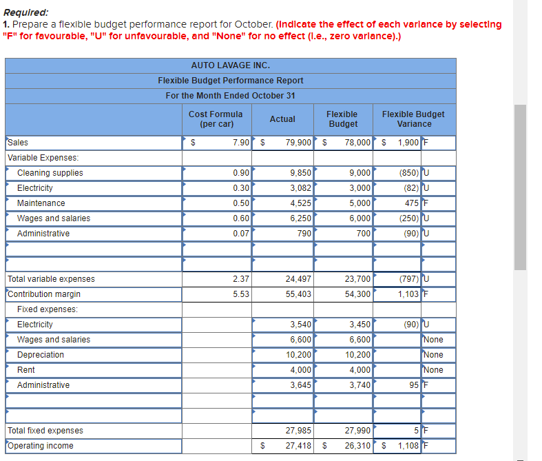 Budget Variance Budget Number of cars 10,000 10,000 9,901 Sales 79,900 1,900