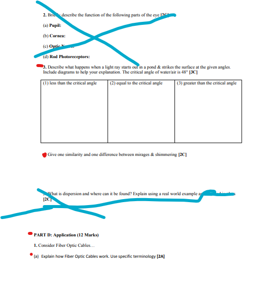 (b) Cornea: (c) Optic s (d) Rod Photoreceptors: -3. Describe what happens