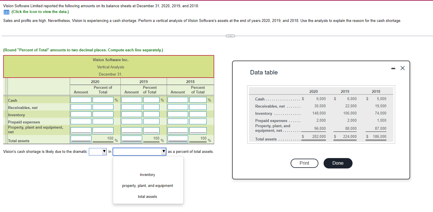  Vision Software Limited reported the following amounts on its balance sheets