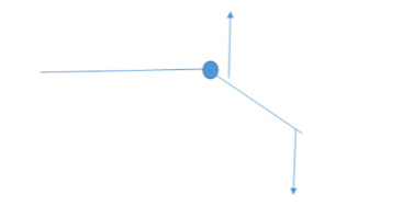 During a knee extension exercise there are two forces that are producing