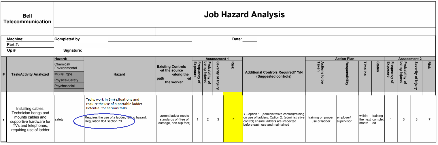 you prepare a risk assessment & report for one (1) of the