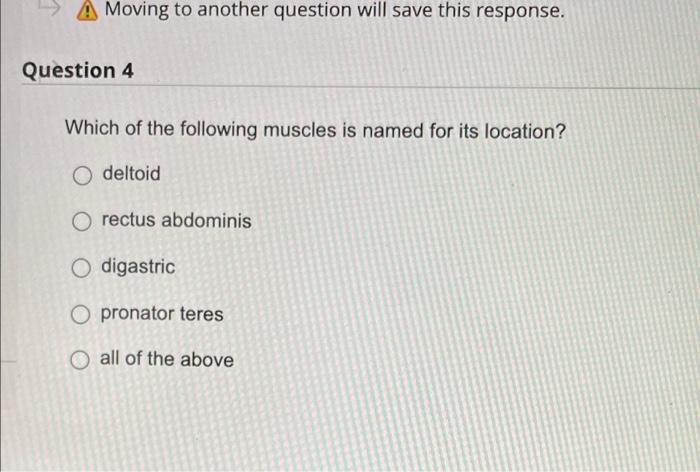 body would vertebral column extenders be located? lateral O medial O posterior