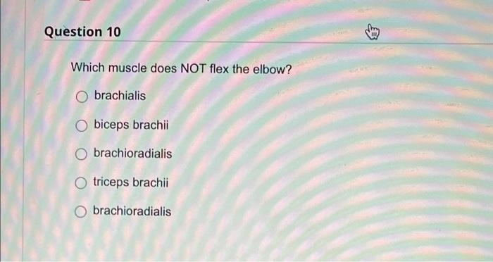 gracilis O rectus femoris semimembranosus adductor magnus tensor fasciae latae A Moving