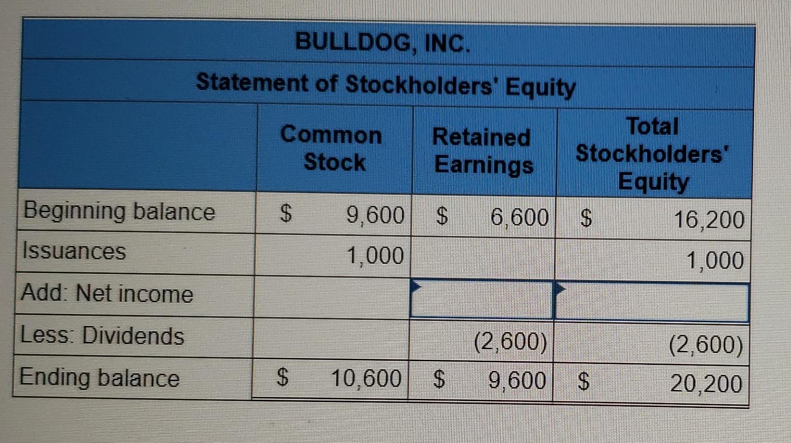 Issuances Add: Net income Less: Dividends Ending balance Total Stockholders' Equity 6,600