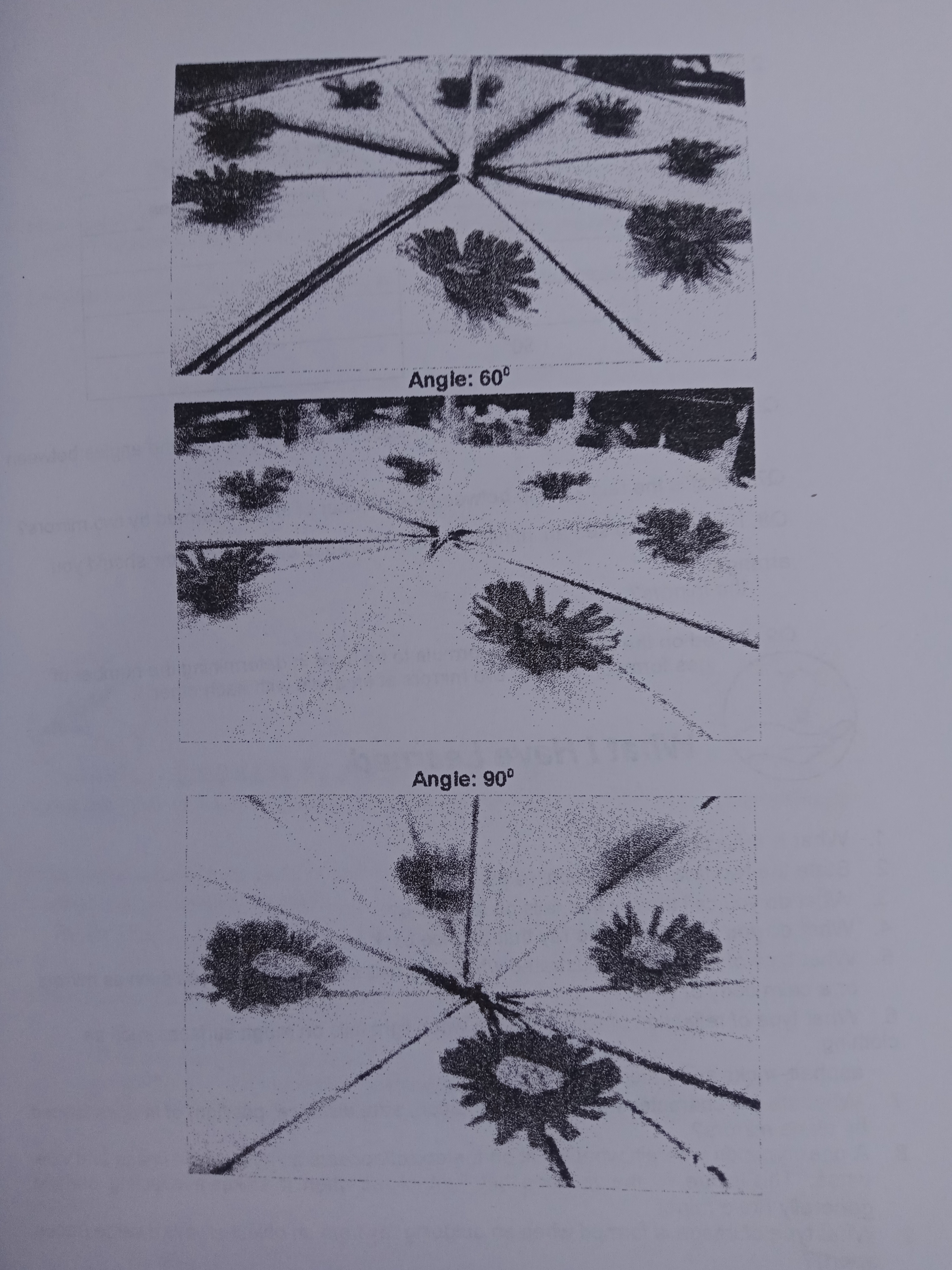 of the family. Objectives: conebiont to signs ent no bris 1. Identify