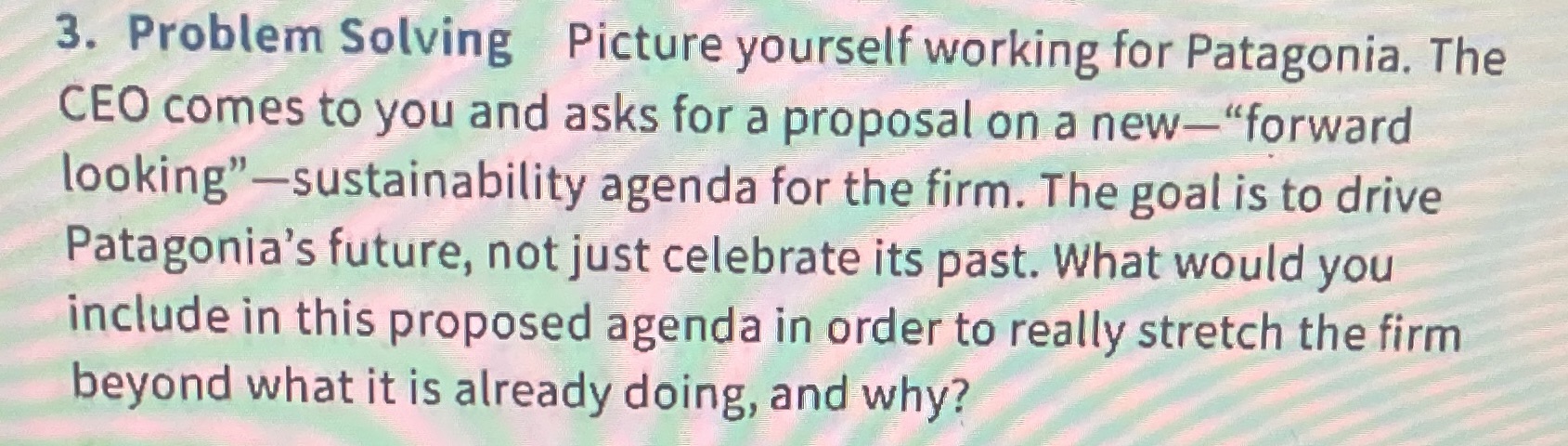  3. Problem Solving Picture yourself working for Patagonia. The CEO comes