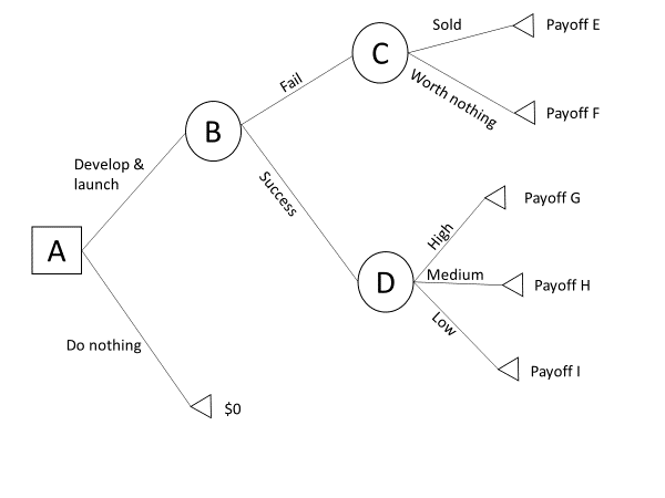 A company is deciding whether to develop and launch a new product.