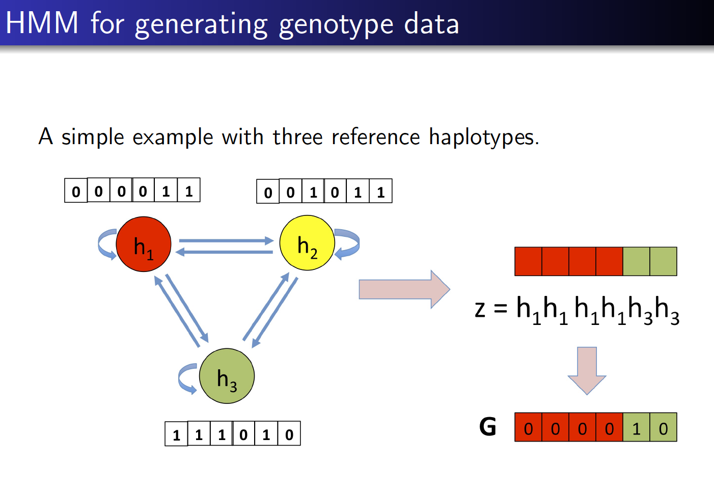 HMM for generating genotype data A simple example with three reference