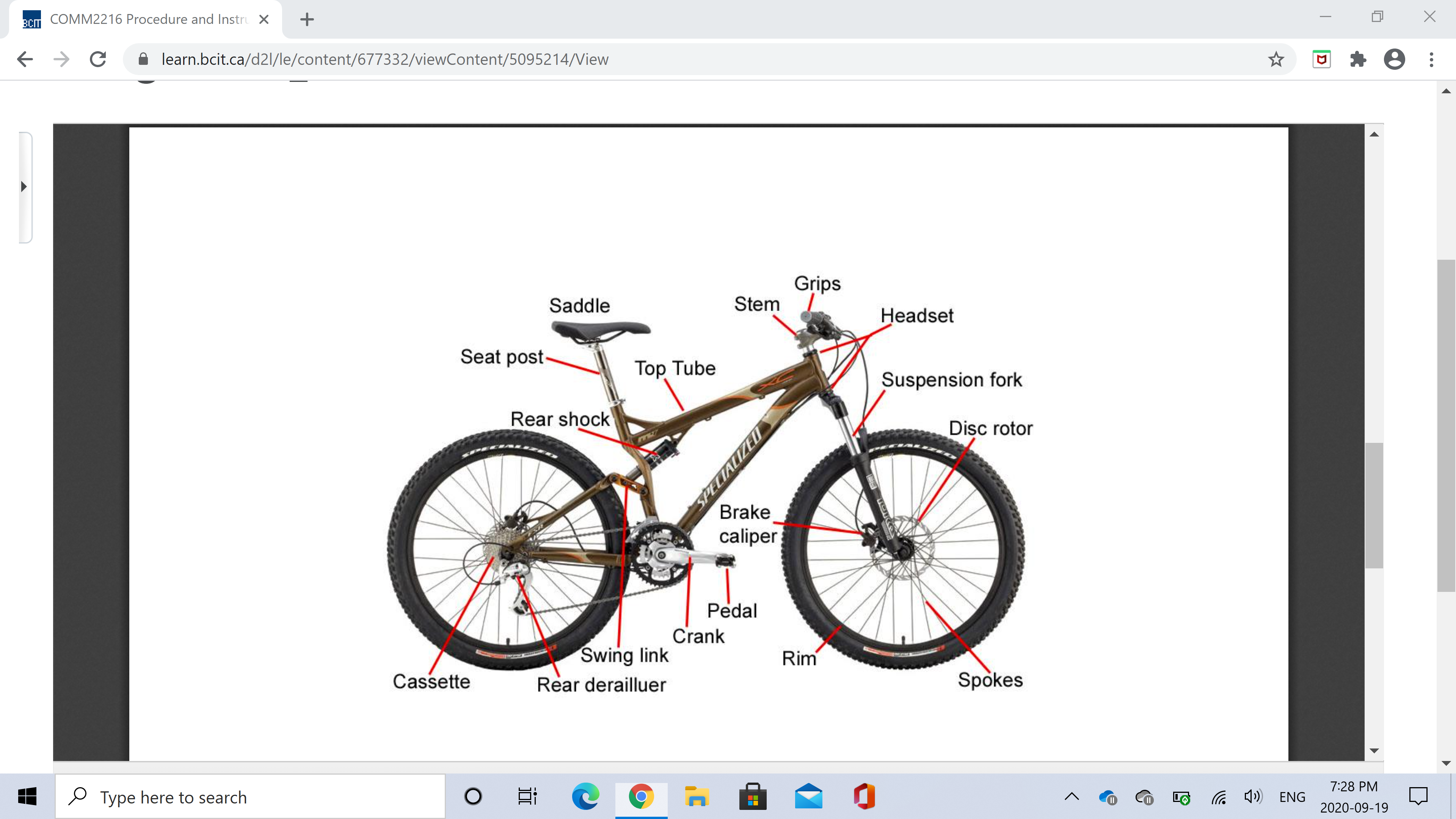 COMM2216: ProcedureAssignment This assignment has two parts but you will submit everything