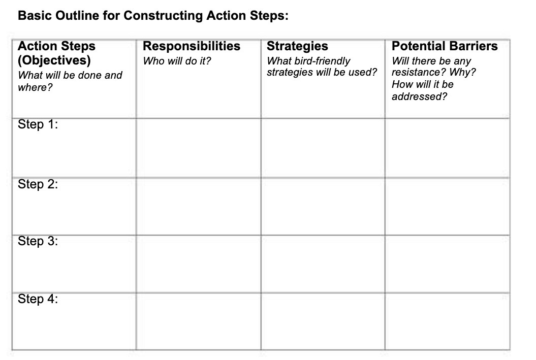  Basic Outline for Constructing Action Steps: Action Steps Responsibilities Strategies Potential