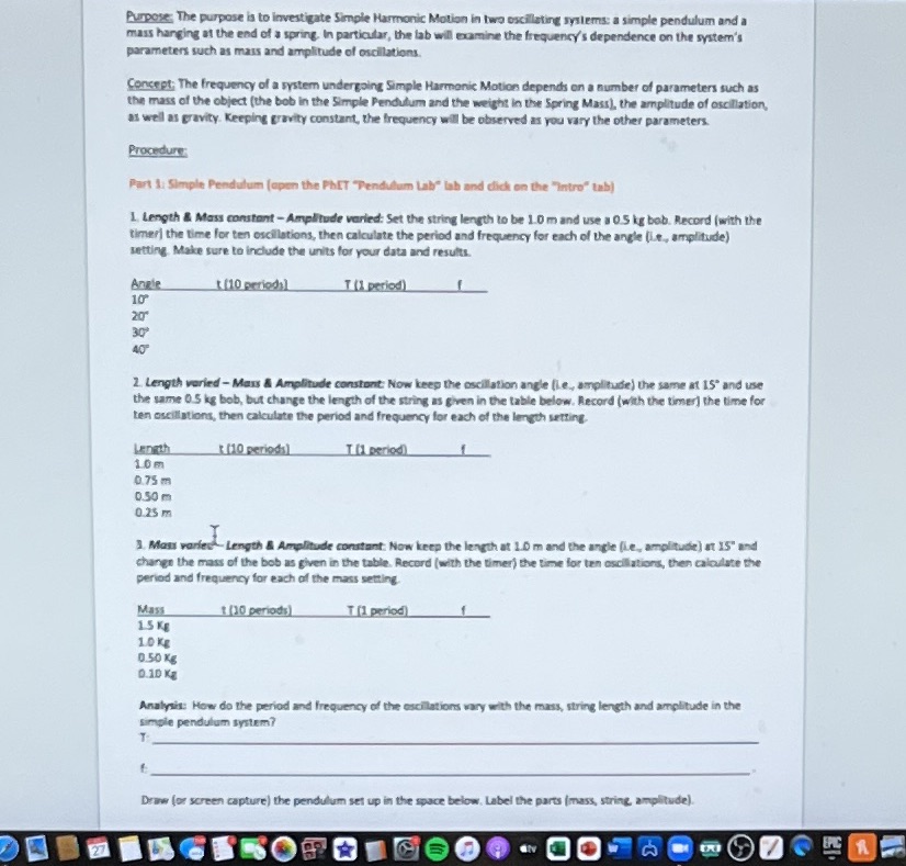 Draw (or screen capture) the pendulum set up in the space below.
