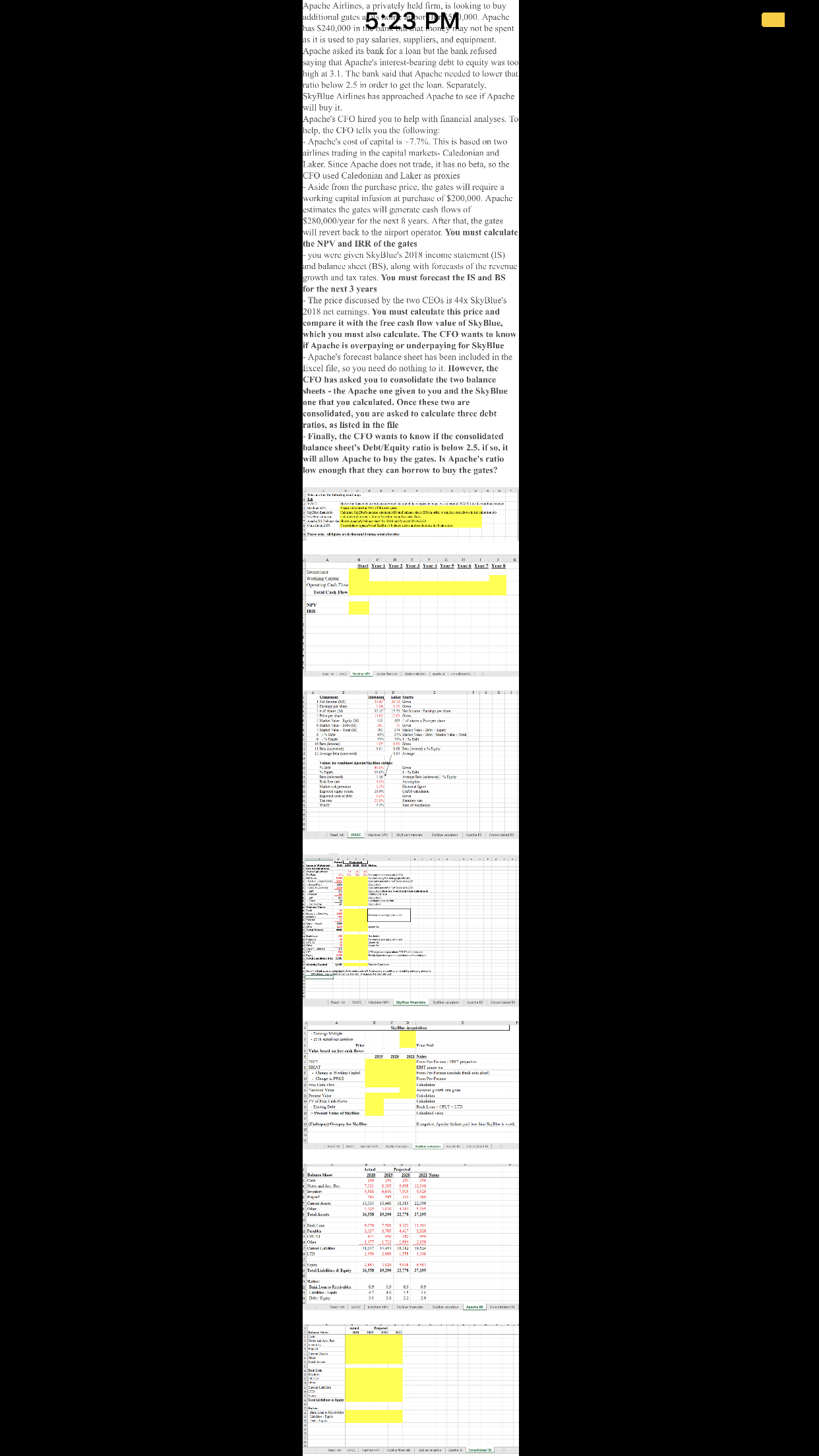 Question and Excel spreadsheet Apache Airlines, a privately held firm, is looking