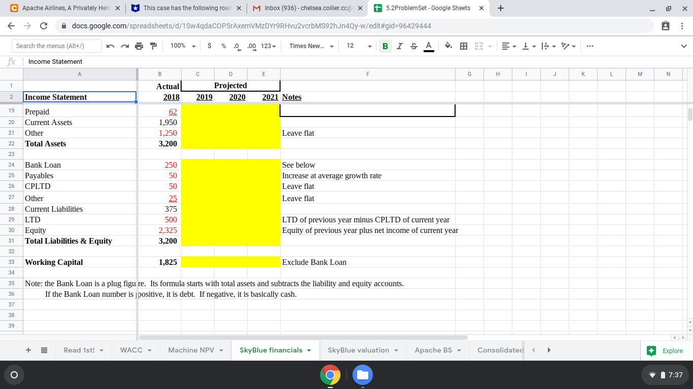 others. Need guidance C Apache Airlines, A Privately Held X This case