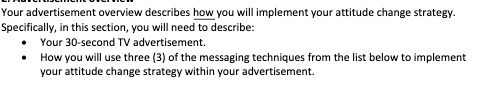 strategy. Specifically, in this section, you will need to describe: Your 30-second