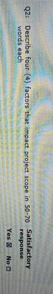project scope management techniques 02: Describe four (4) factors that impact project