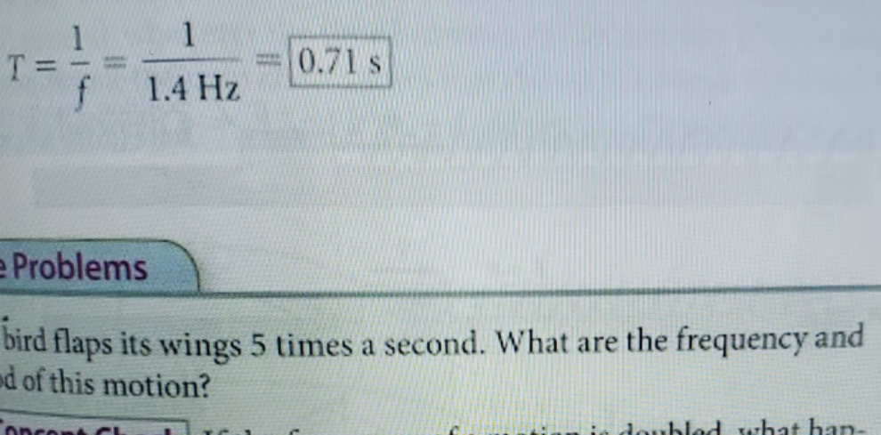 A bird flaps its wings 5 times a second. what are the