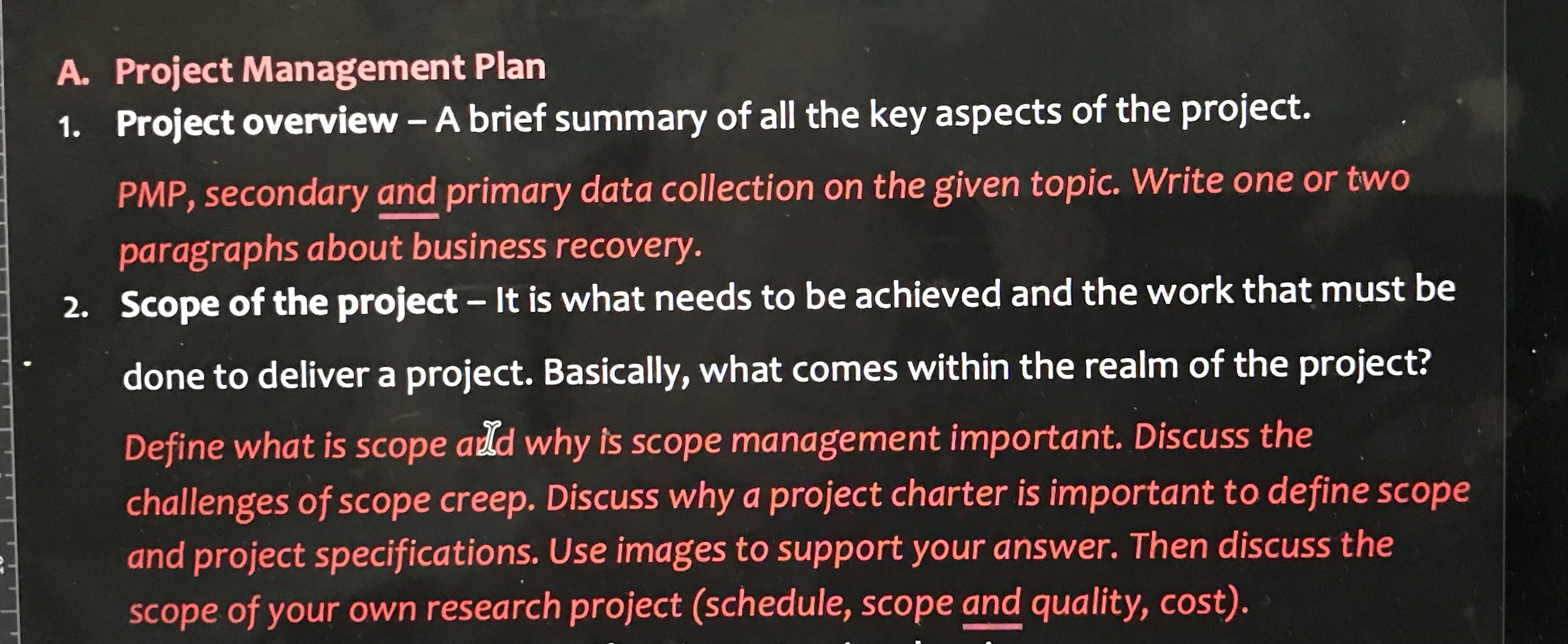 Please use references . Project Management Plan Project overview A brief summary