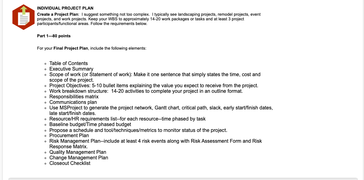 INDIVIDUAL PROJECT PLANProject Plan: I suggest something not too complex. I typically