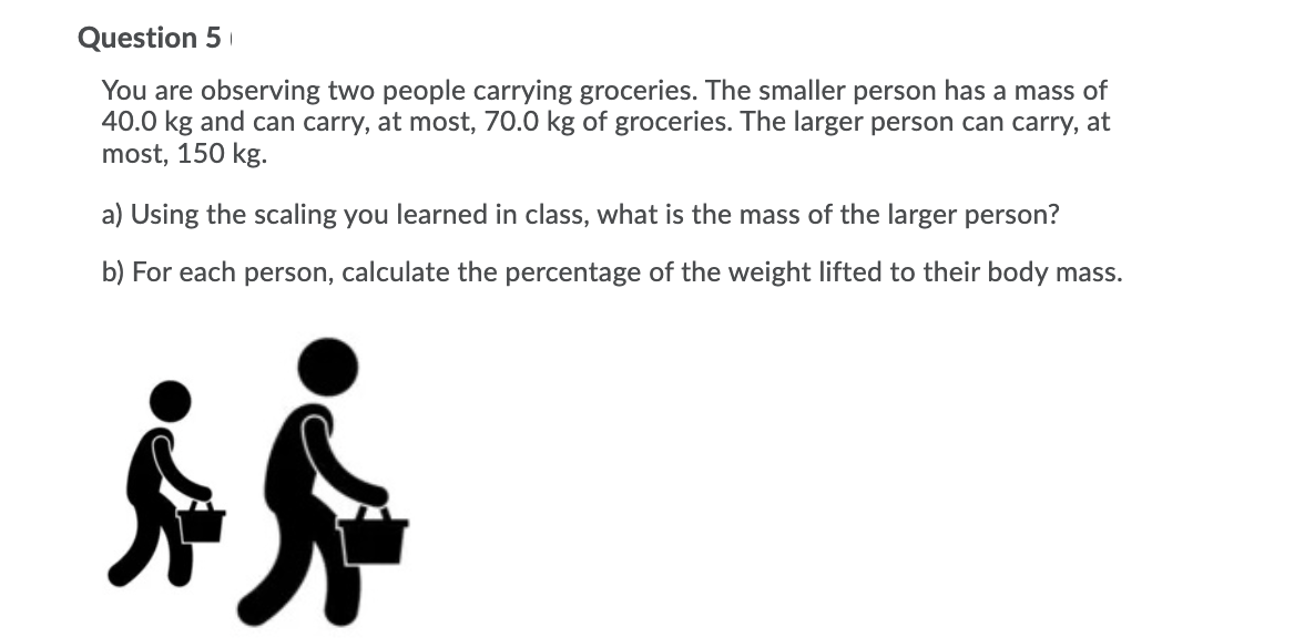 PLEASE HELP ASAPP Question 5 | You are observing two people carrying