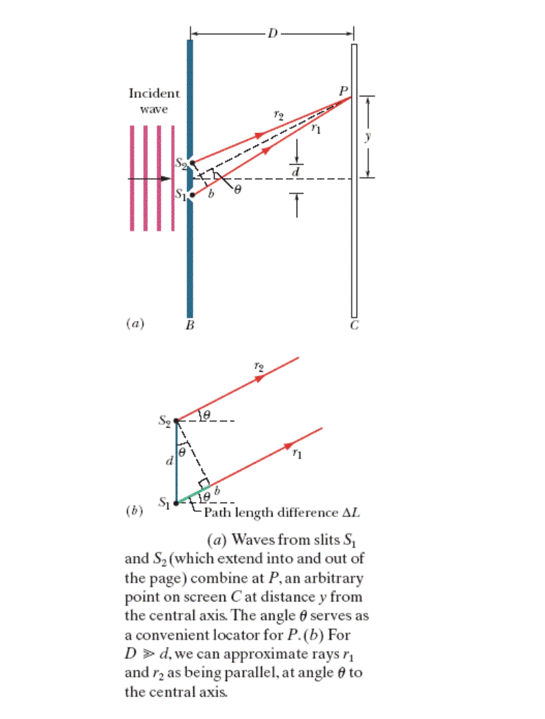 at point P on the screen, at height y = 72.9 cm.