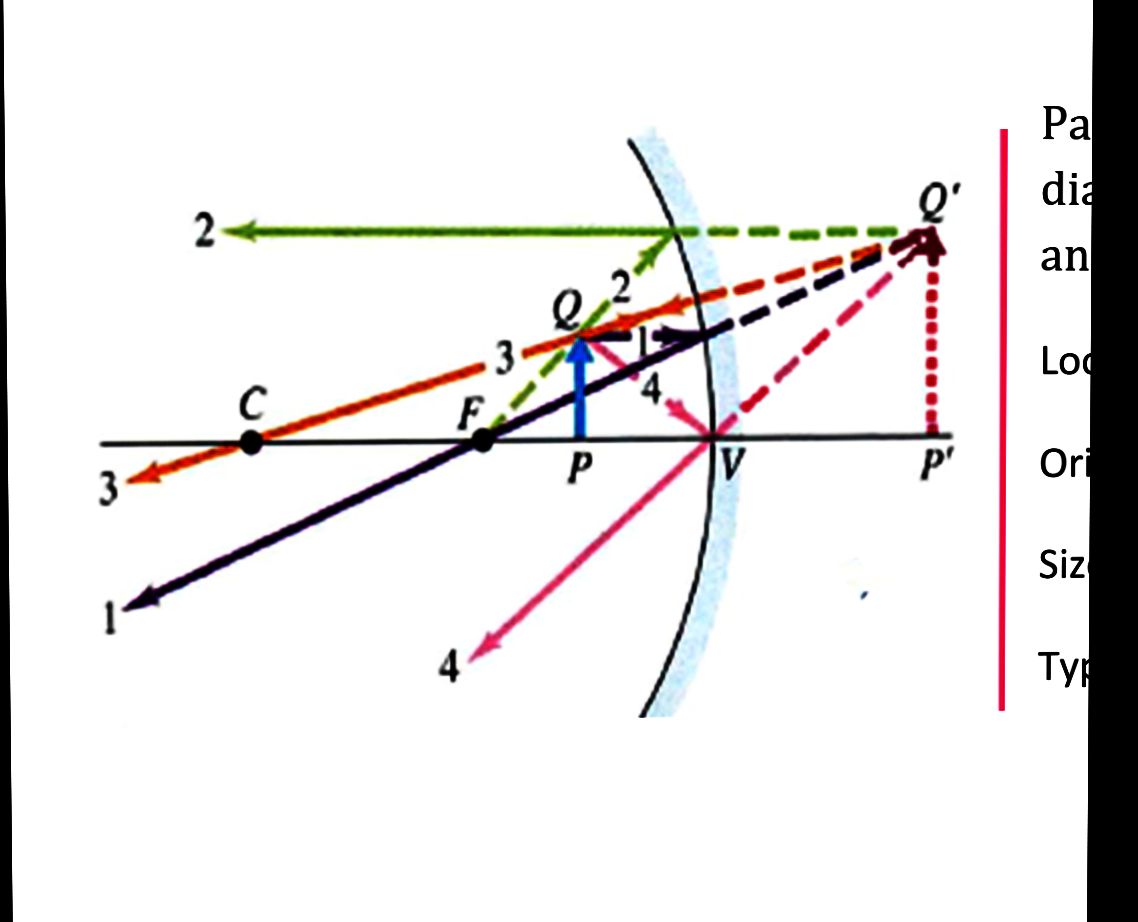 mirror's focal point b. again travels parallel to the mirror's axis c.