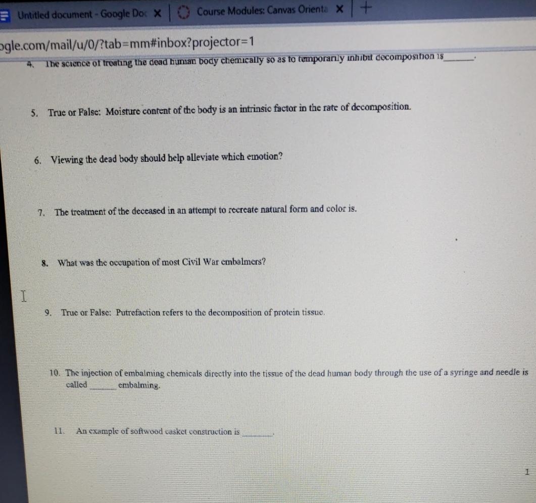 Untitled document Google Doc X C) _Course Modules Canvas Orienta X -