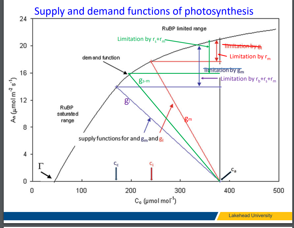 3.Describe the demand function and supply functions (Figure 2.6 in the textbook)