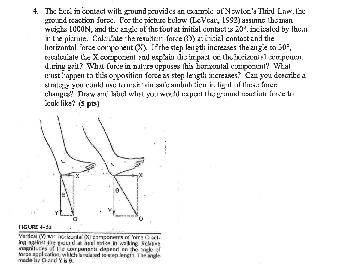 Newton's Third Law, the ground reaction force. For the picture below (LeVeau,