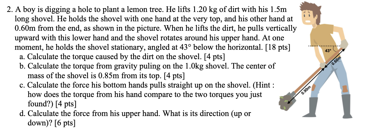  2. A boy is digging a hole to plant a lemon