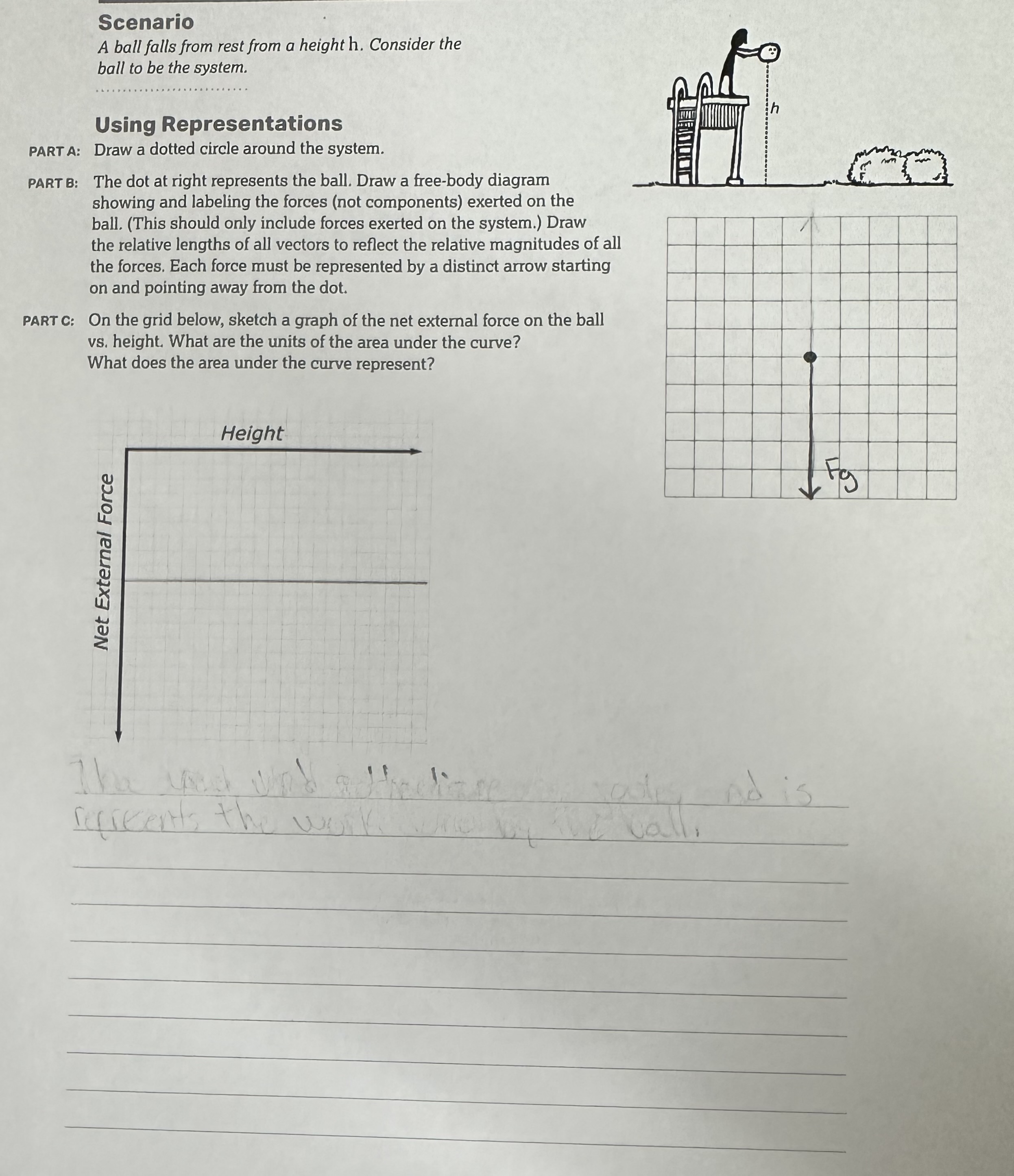  Scenario A ball falls from rest from a height h. Consider