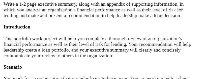 supporting information, in which you analyze an organization's financial performance as well