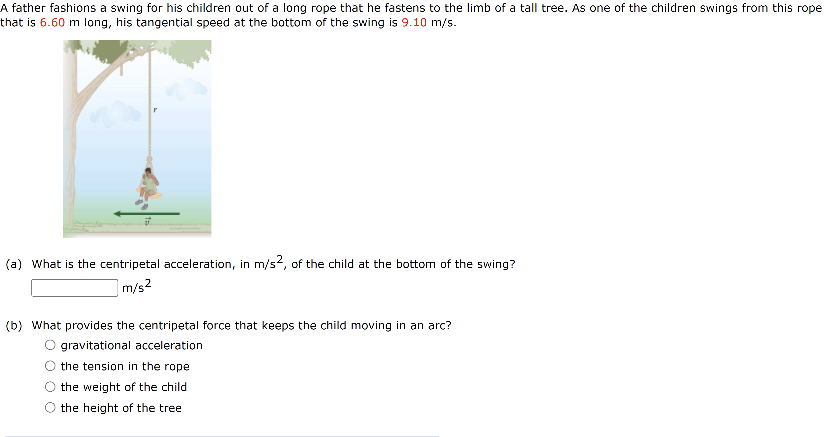 m dash in 23.8 s and runs at constant speed throughout the