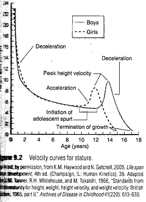 questions. The graphs they are referring to are attached for reference. Chapter