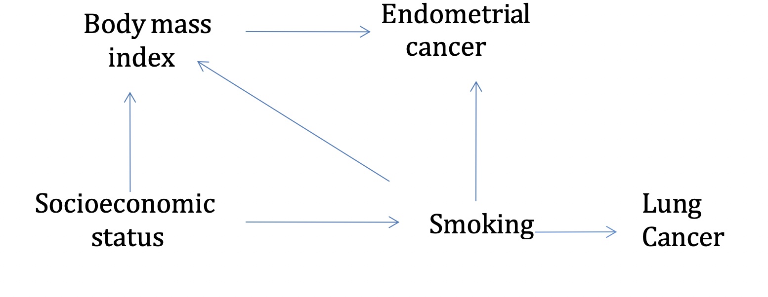 Body mass index Socioeconomic status Endometrial cancer Smoking Lung Cancer