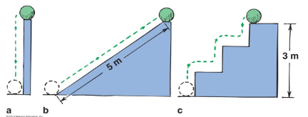 1. A boy moves his toy, which has a weight of 5